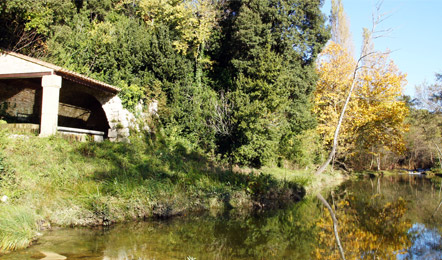 Randonnée en canoë à la journée