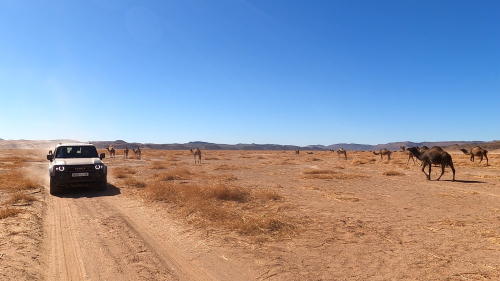 Raid aventure & découverte Maroc